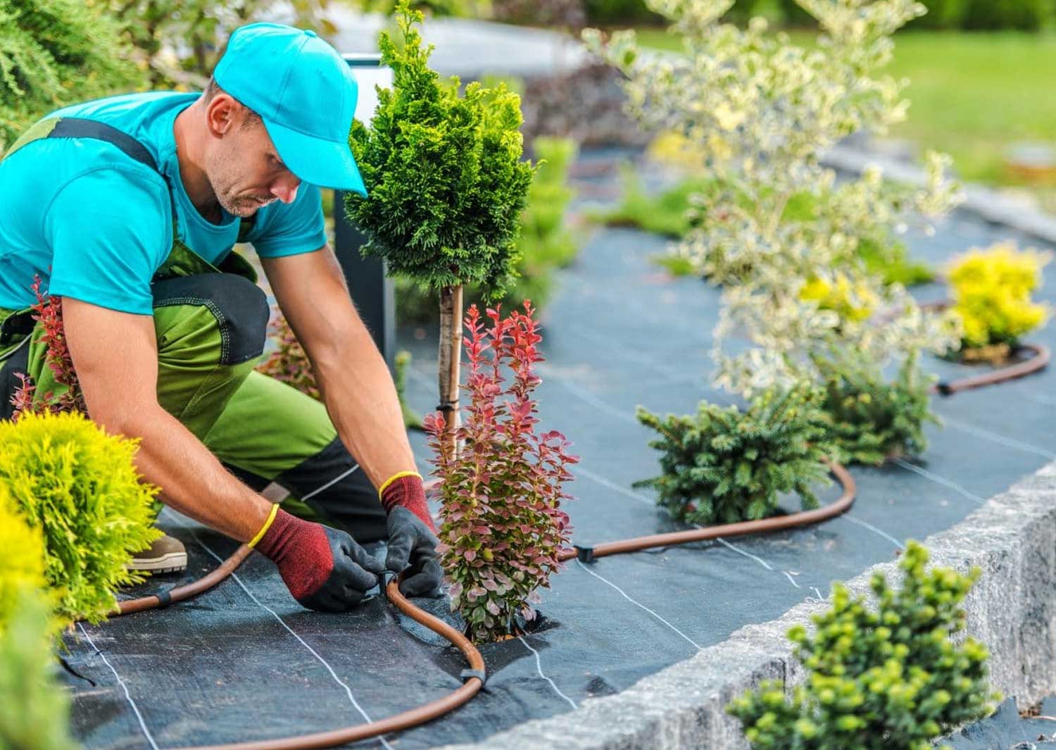 Aménagement du jardin et des espaces verts