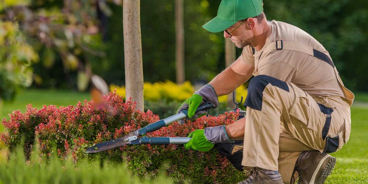Entretien régulier des jardins et espaces verts