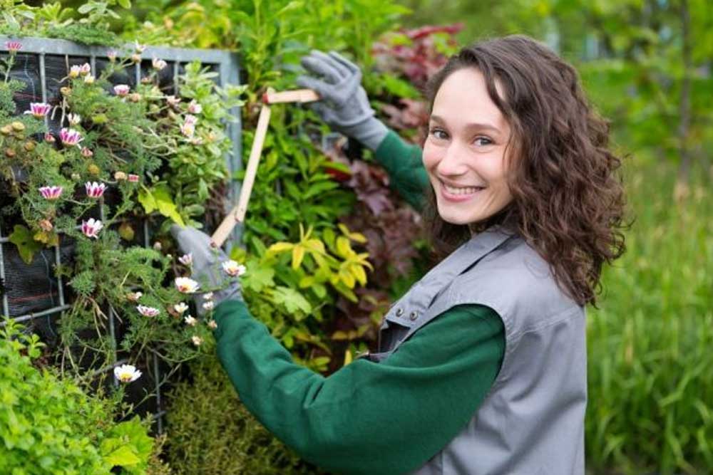 Pourquoi faire appel à rehom pour vos besoins de jardinier / paysagiste ?